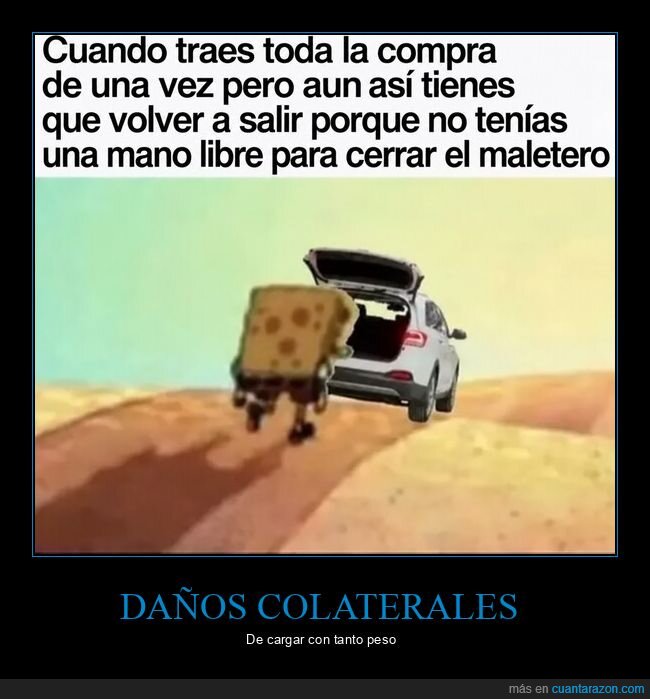 maletero,bolsas,cargar
