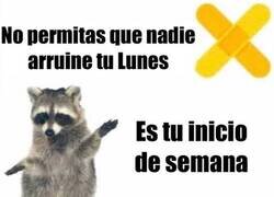 Enlace a Lunes: destruyéndome yo antes de que la vida tenga la oportunidad