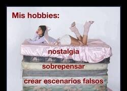 Enlace a Cada uno tiene sus hobbies