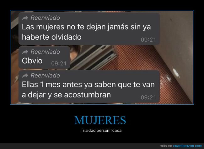 whatsapp,relaciones,ruptura,olvido,reenviado