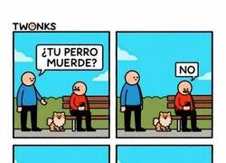 Enlace a Ese perro tiene mejor abogado que tú