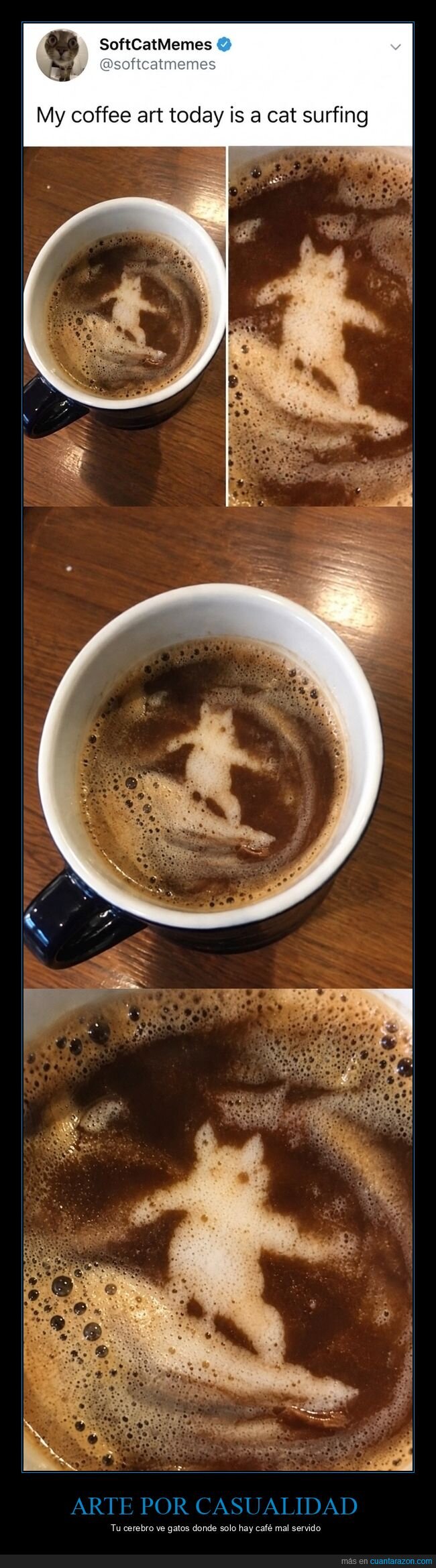 caf&eacute;,espuma,gato,arte,casualidad