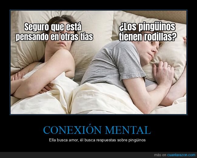 pareja,pensamientos,ping&uuml;inos,relaci&oacute;n,distracci&oacute;n