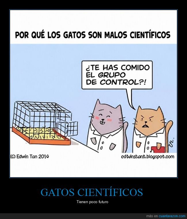 gatos,ciencia,laboratorio,experimento,investigaci&oacute;n