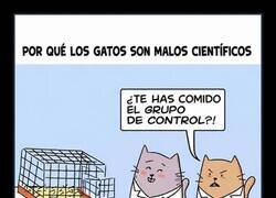 Enlace a Cuando el becario se come los resultados del experimento