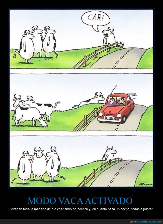 vacas,carretera,atropello,advertencia,granja