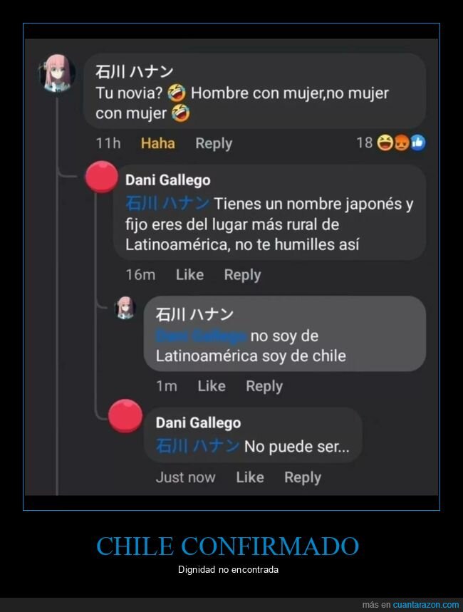 Chile,Facebook,comentarios,discusi&oacute;n,zasca