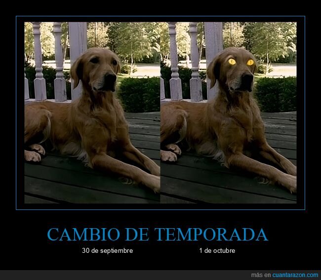 perro,octubre,transformacion,oto&ntilde;o,demonio