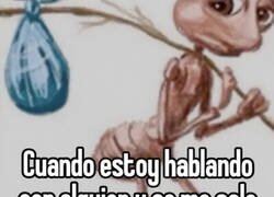 Enlace a Modo babeo activado, conversación cancelada
