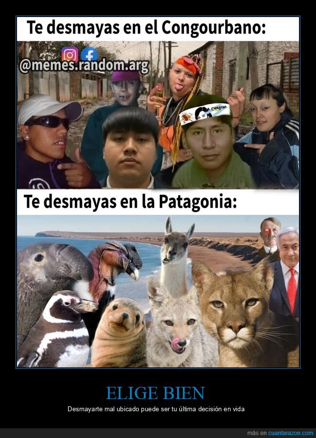 desmayo,Patagonia,conurbano,fauna,supervivencia