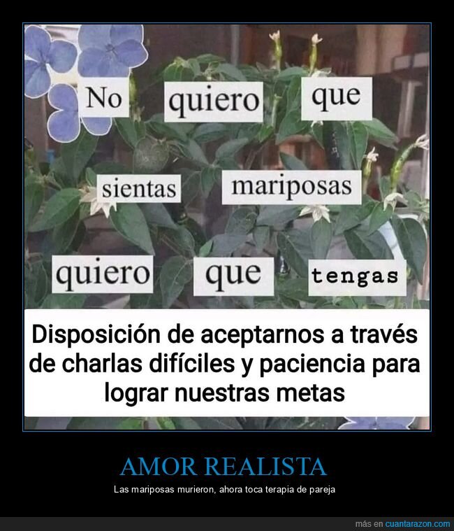 amor,relaciones,comunicaci&oacute;n,pareja,expectativas