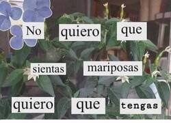 Enlace a Nada de mariposas, aquí lo que hay es logística emocional