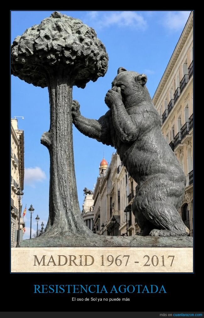 oso,madro&ntilde;o,Madrid,estatua,Sol