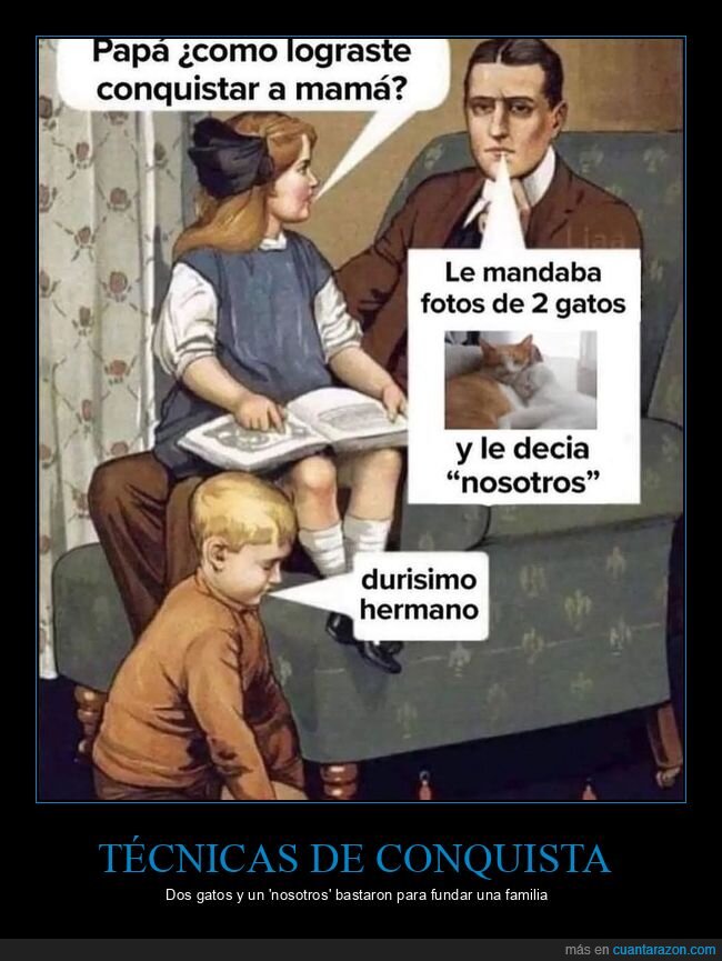 conquista,gatos,ligar,familia,padres