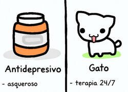 Enlace a Cambia el Prozac por un gato y vive 24% más feliz, o eso dicen