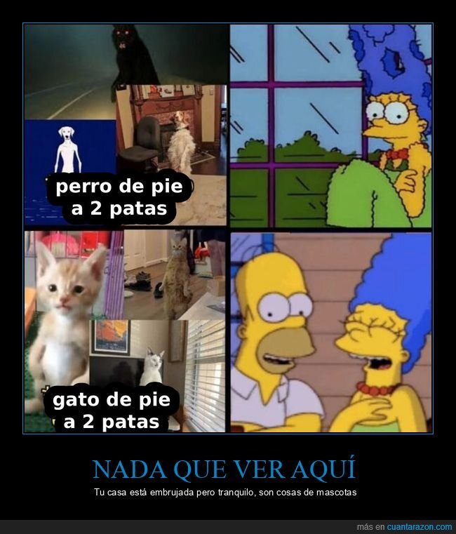 mascotas,perro,gato,simpsons,paranormal