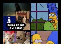 Enlace a Cuando tu mascota se prepara para el levantamiento contra la humanidad