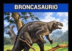 Enlace a Cuando el meteorito era lo de menos y la rama sí que iba a acabar contigo