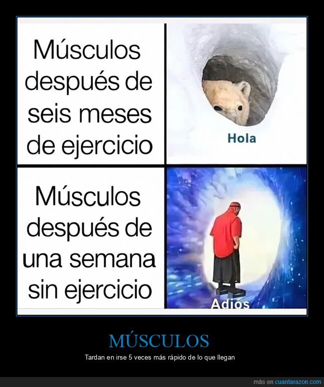 m&uacute;sculos,ejercicio,gimnasio,constancia,pereza