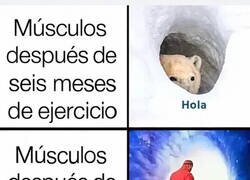 Enlace a Seis meses currando el cuerpo, una semana de Netflix y vuelta a empezar