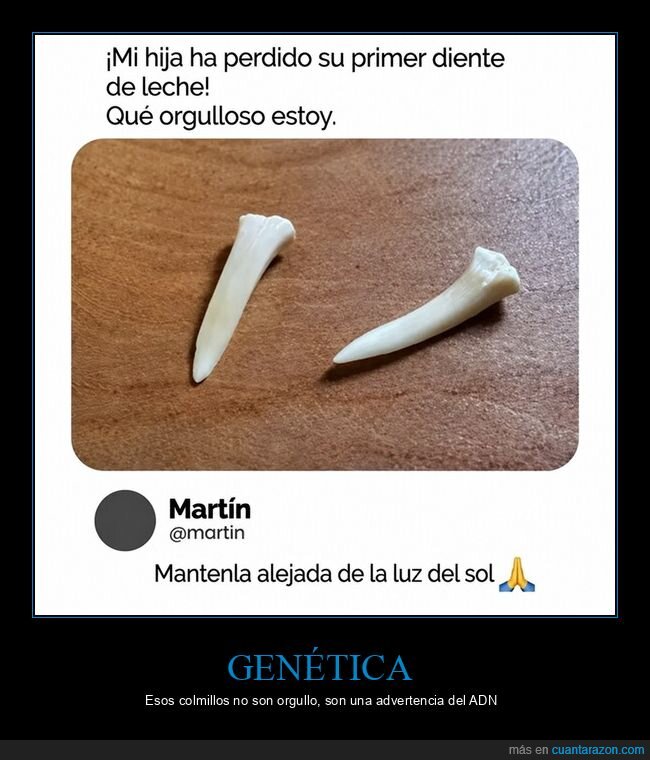 dientes,vampiro,colmillos,orgullo,gen&eacute;tica