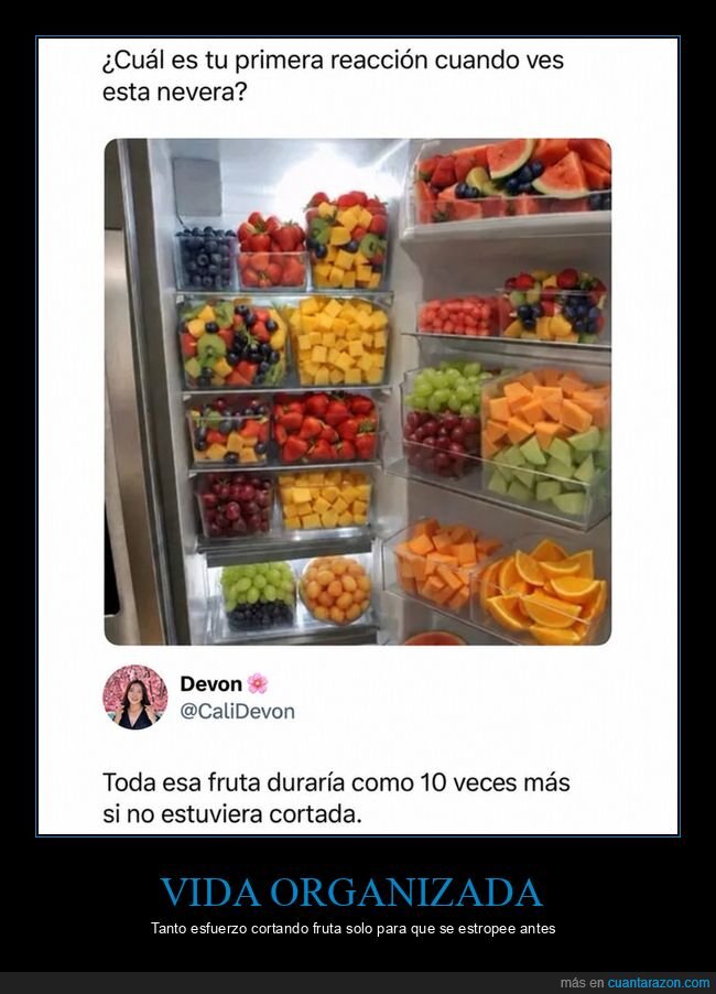 nevera,fruta,organizaci&oacute;n,alimentaci&oacute;n,cocina
