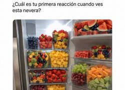 Enlace a Cuando tienes más tiempo libre que sentido común