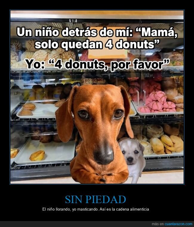 donas,panaderia,egoismo,perro,competencia