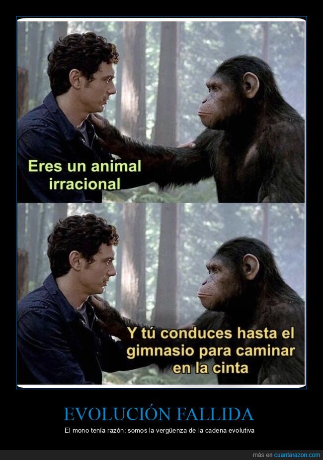 gimnasio,evoluci&oacute;n,l&oacute;gica,animal,contradicci&oacute;n