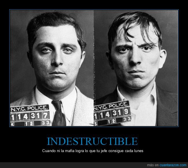 Mike,Durable,Nueva York,supervivencia,mafia