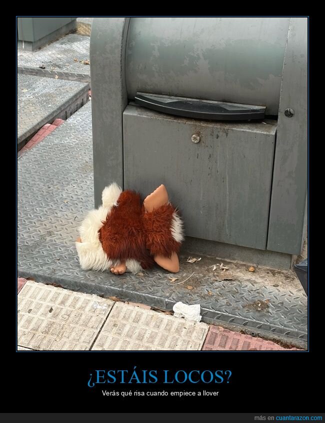 gremlin,agua,contenedor,basura,calle,suciedad,abandono