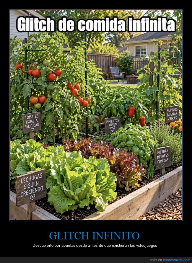 huerto,tomates,verduras,jard&iacute;n,cosecha