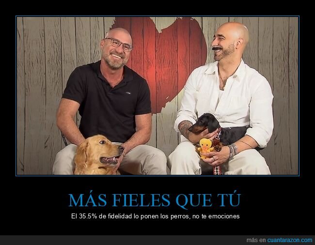 FirstDates,perros,audiencias,fidelidad,Telecinco