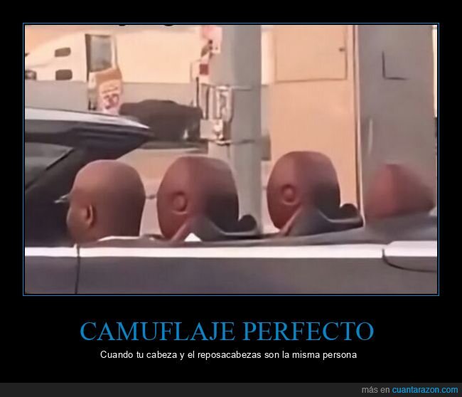 calvicie,coche,camuflaje,reposacabezas,tr&aacute;fico