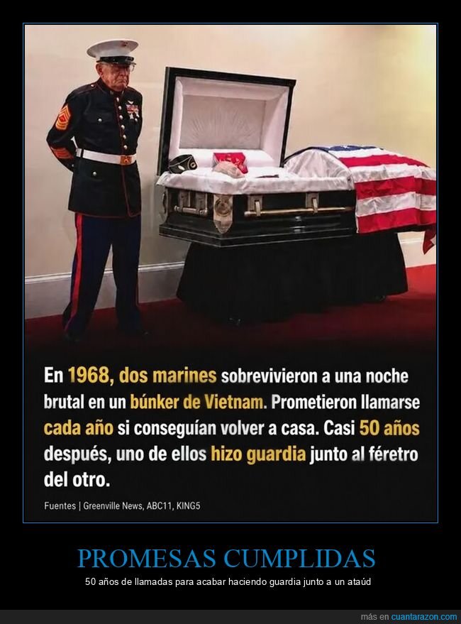 marines,vietnam,promesa,guerra,lealtad