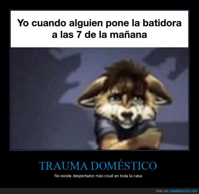 licuadora,ruido,comunicaci&oacute;n,cocina,furry