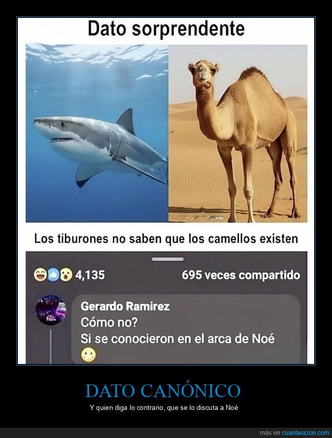 tiburones,camellos,arca,No&eacute;,biolog&iacute;a