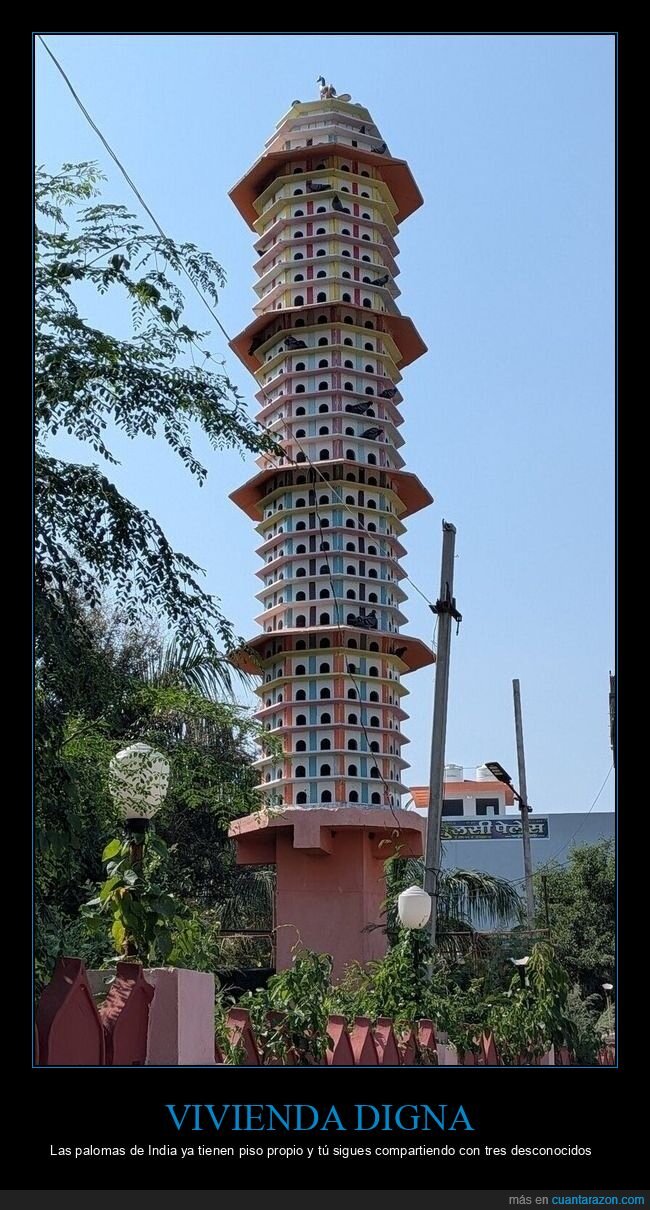 chabutra,arquitectura,palomas,vivienda,india