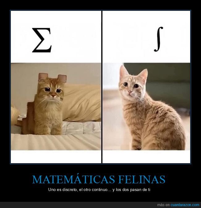 matem&aacute;ticas,gatos,comparaci&oacute;n,s&iacute;mbolos,c&aacute;lculo