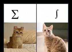 Enlace a Sumas discretas vs integrales elegantes: la vida en dos gatos