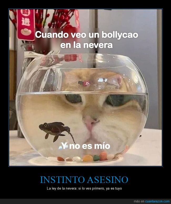 gansito,nevera,gato,antojo,robar
