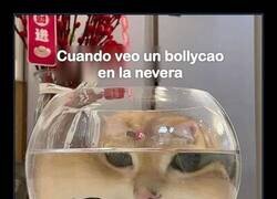 Enlace a Lo ajeno siempre sabe mejor