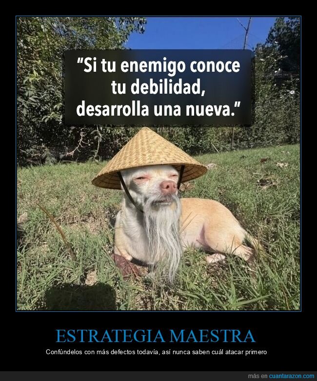 perro,sabiduria,estrategia,disfraz,filosofia