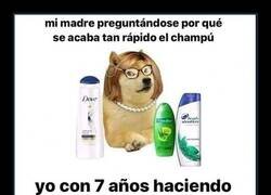 Enlace a Mamá, no es que se gaste el champú, es que estoy investigando