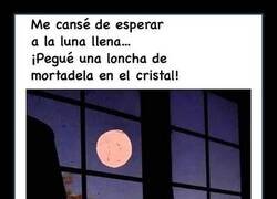 Enlace a Me cansé de esperar a la luna llena