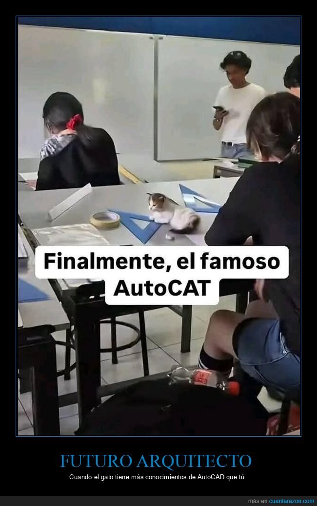gato,clase,AutoCAD,estudiantes,escuadra