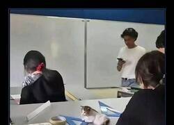 Enlace a Finalmente, el famoso AutoCAT