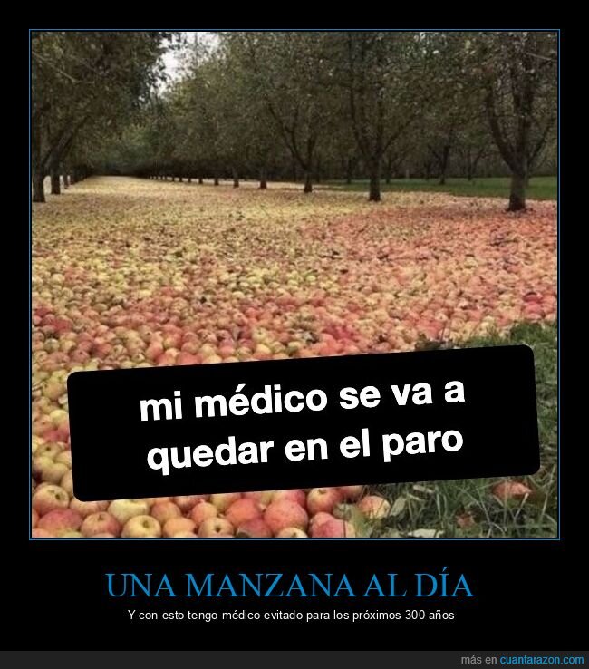 manzanas,campo,cosecha,salud,exceso