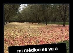 Enlace a Una manzana al día y el médico, al paro