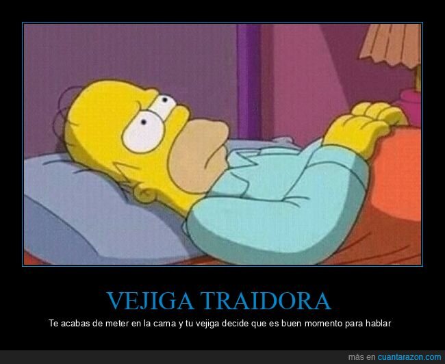 cama,vejiga,noche,pereza,Homer